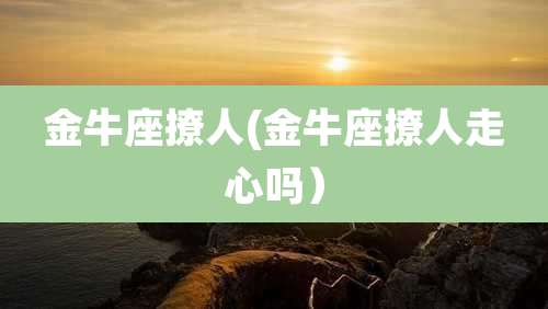 金牛座撩人(金牛座撩人走心吗)