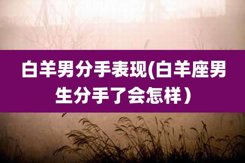 白羊男分手表现(白羊座男生分手了会怎样)