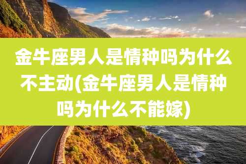 金牛座男人是情种吗为什么不主动(金牛座男人是情种吗为什么不能嫁)