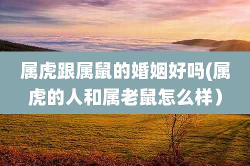 属虎跟属鼠的婚姻好吗(属虎的人和属老鼠怎么样）