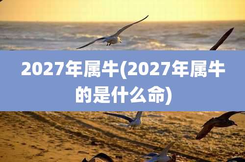 2027年属牛(2027年属牛的是什么命)