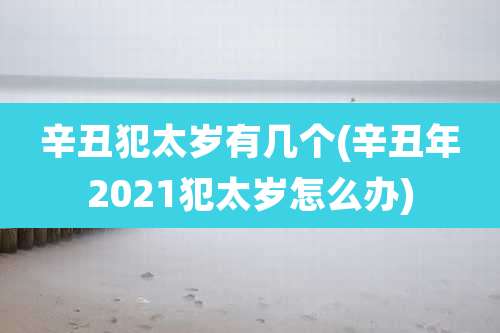 辛丑犯太岁有几个(辛丑年2021犯太岁怎么办)