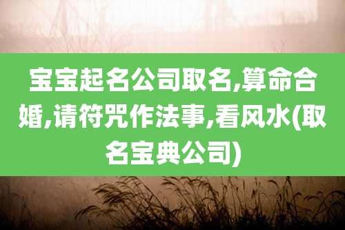 宝宝起名公司取名,算命合婚,请符咒作法事,看风水(取名宝典公司)