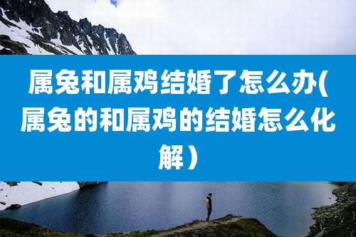 属兔和属鸡结婚了怎么办(属兔的和属鸡的结婚怎么化解)