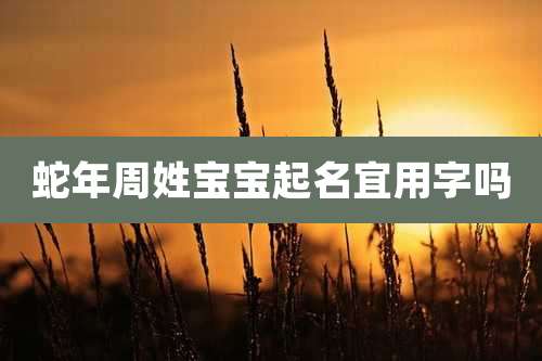 蛇年周姓宝宝起名宜用字吗