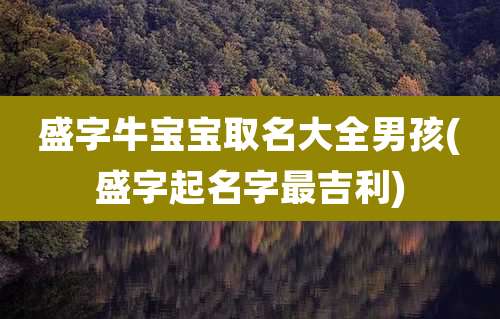 盛字牛宝宝取名大全男孩(盛字起名字最吉利)