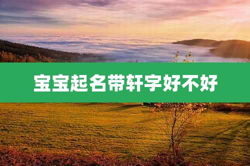 宝宝起名带轩字好不好