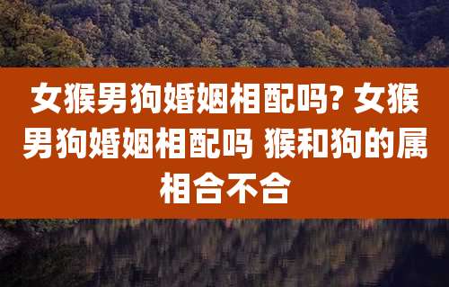 女猴男狗婚姻相配吗? 女猴男狗婚姻相配吗 猴和狗的属相合不合