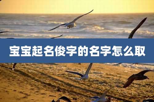 宝宝起名俊字的名字怎么取