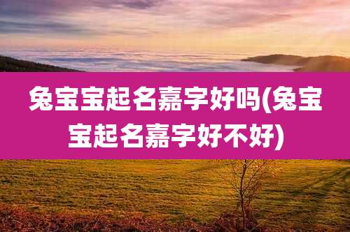 兔宝宝起名嘉字好吗(兔宝宝起名嘉字好不好)