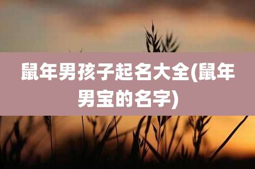 鼠年男孩子起名大全(鼠年男宝的名字)