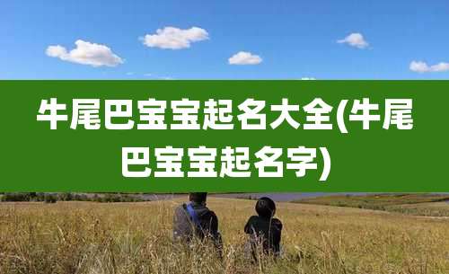 牛尾巴宝宝起名大全(牛尾巴宝宝起名字)