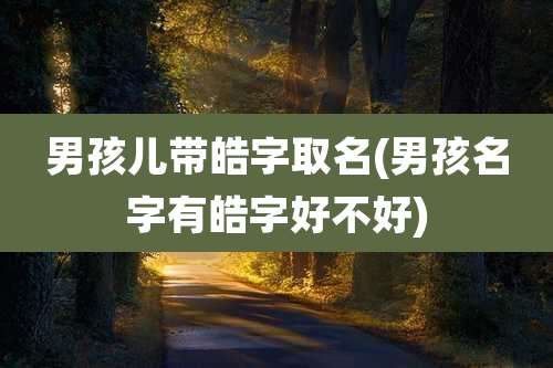 男孩儿带皓字取名(男孩名字有皓字好不好)