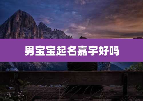 男宝宝起名嘉宇好吗