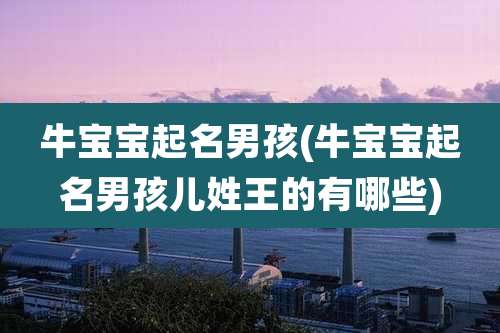 牛宝宝起名男孩(牛宝宝起名男孩儿姓王的有哪些)