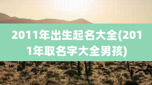 2011年出生起名大全(2011年取名字大全男孩)