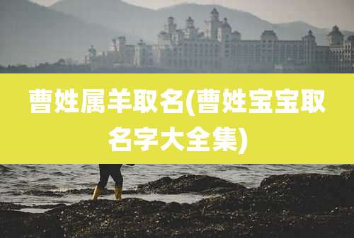 曹姓属羊取名(曹姓宝宝取名字大全集)