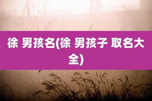 徐 男孩名(徐 男孩子 取名大全)