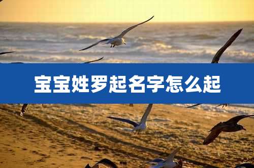 宝宝姓罗起名字怎么起