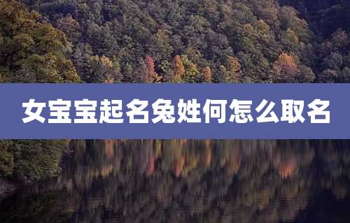 女宝宝起名兔姓何怎么取名