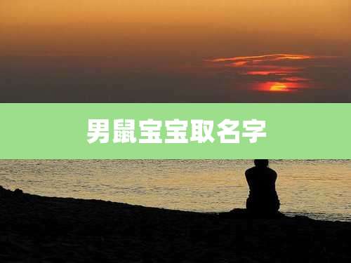 男鼠宝宝取名字