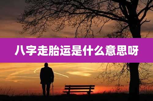 八字走胎运是什么意思呀