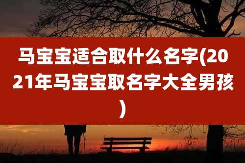 马宝宝适合取什么名字(2021年马宝宝取名字大全男孩)