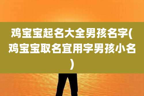 鸡宝宝起名大全男孩名字(鸡宝宝取名宜用字男孩小名)