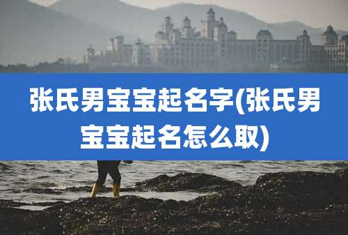 张氏男宝宝起名字(张氏男宝宝起名怎么取)