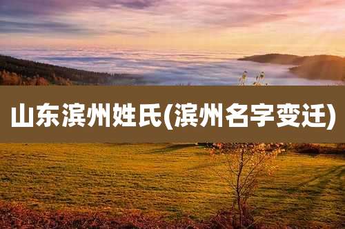 山东滨州姓氏(滨州名字变迁)
