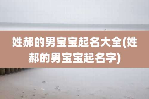 姓郝的男宝宝起名大全(姓郝的男宝宝起名字)