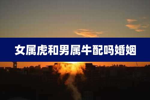 女属虎和男属牛配吗婚姻
