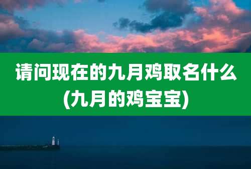 请问现在的九月鸡取名什么(九月的鸡宝宝)