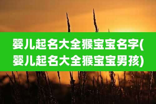 婴儿起名大全猴宝宝名字(婴儿起名大全猴宝宝男孩)