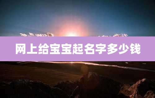 网上给宝宝起名字多少钱