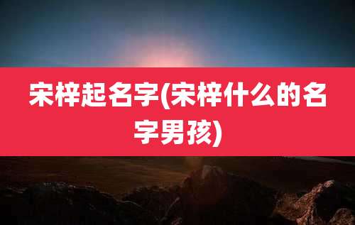 宋梓起名字(宋梓什么的名字男孩)