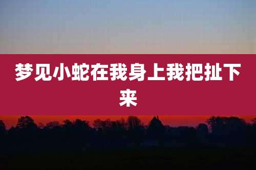 梦见小蛇在我身上我把扯下来