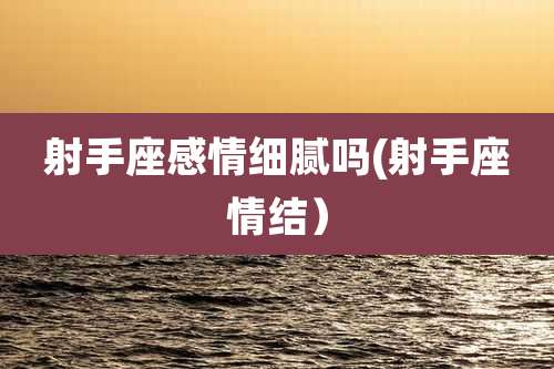 射手座感情细腻吗(射手座情结）