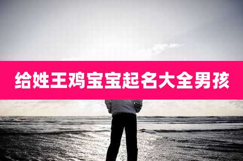 给姓王鸡宝宝起名大全男孩