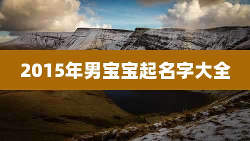 2015年男宝宝起名字大全