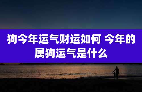 狗今年运气财运如何 今年的属狗运气是什么