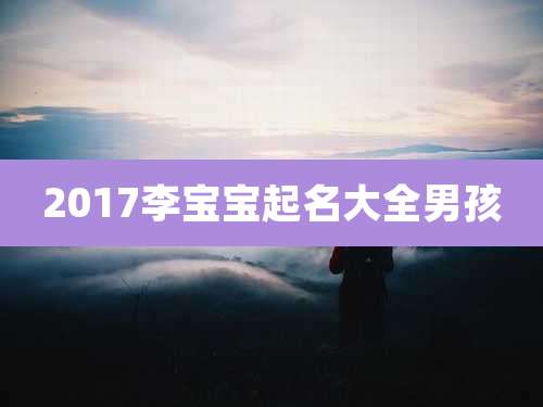 2017李宝宝起名大全男孩