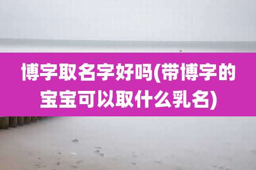 博字取名字好吗(带博字的宝宝可以取什么乳名)