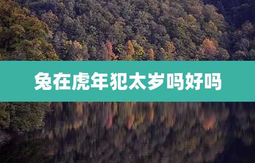 兔在虎年犯太岁吗好吗