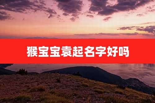 猴宝宝袁起名字好吗