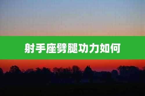 射手座劈腿功力如何