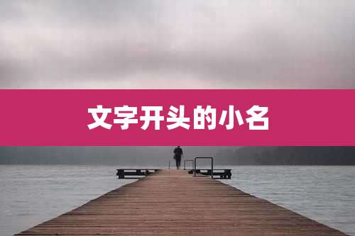 文字开头的小名