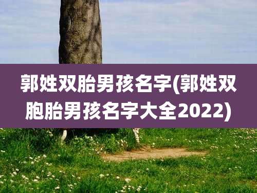 郭姓双胎男孩名字(郭姓双胞胎男孩名字大全2022)