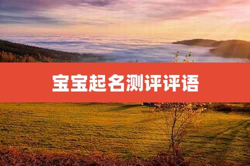 宝宝起名测评评语