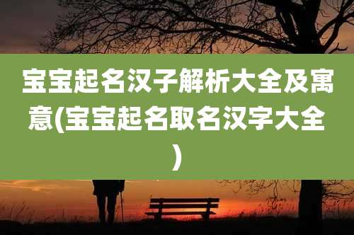 宝宝起名汉子解析大全及寓意(宝宝起名取名汉字大全)